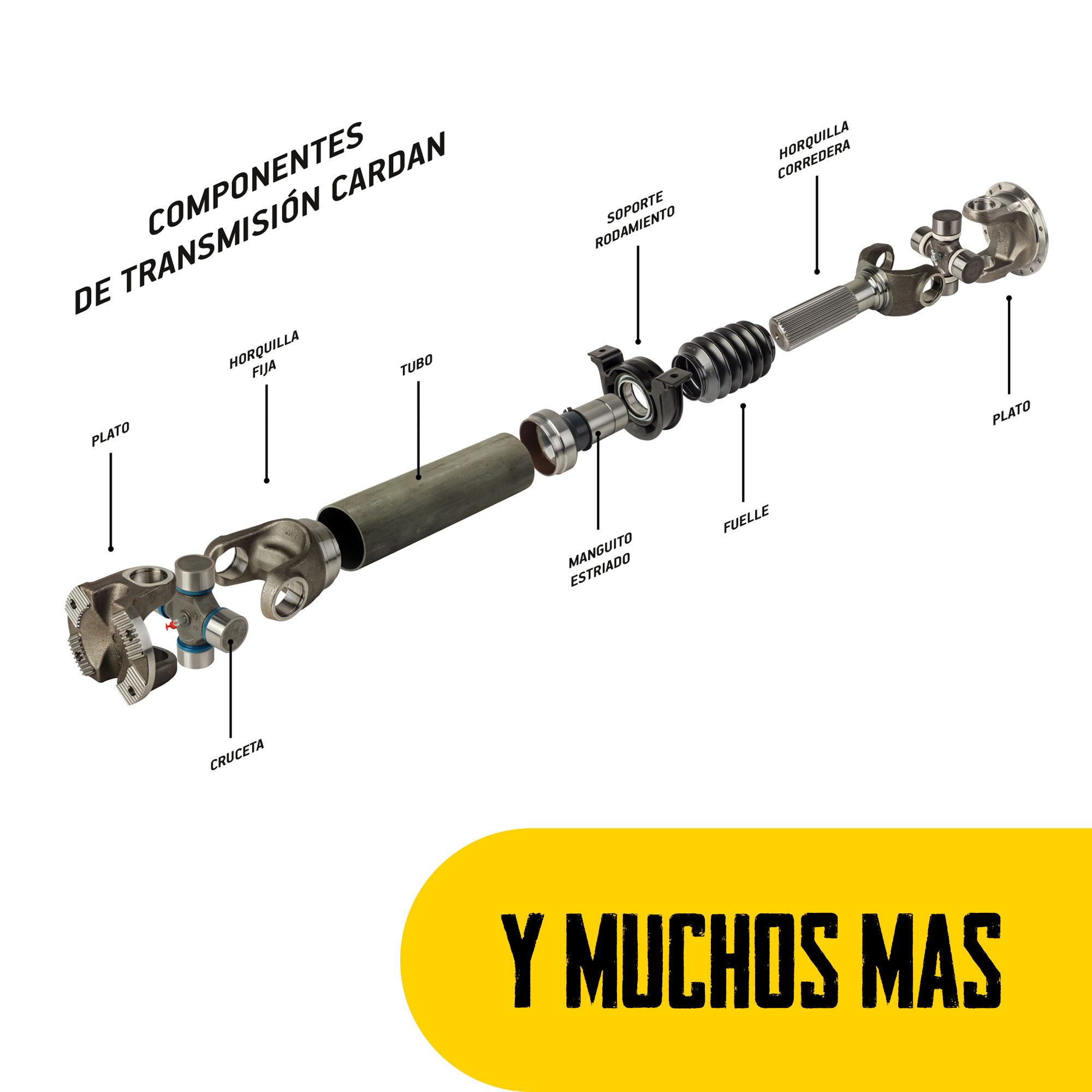 Y MUCHOS MAS